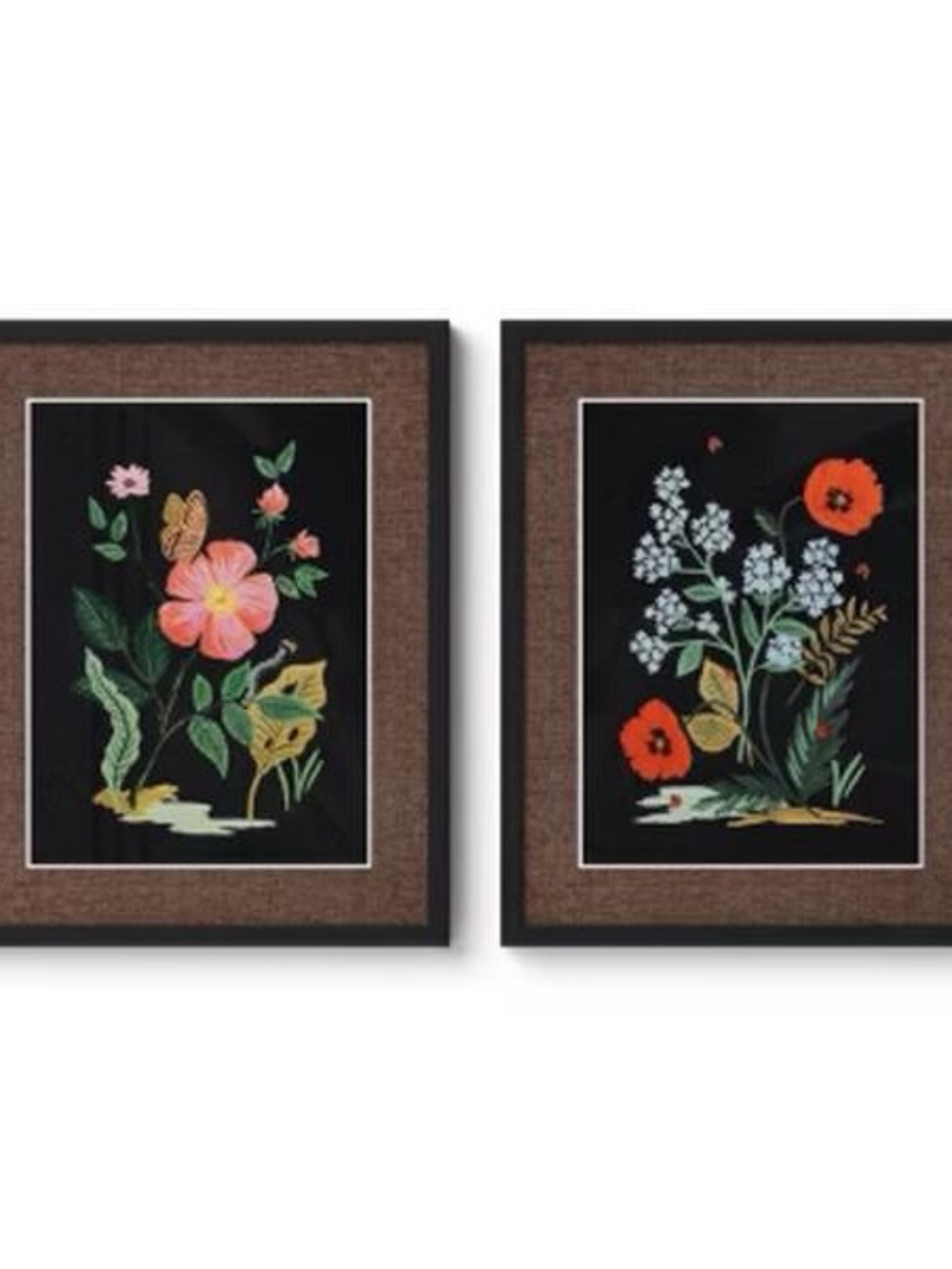 Rifle Paper Co. Botanical Art Set